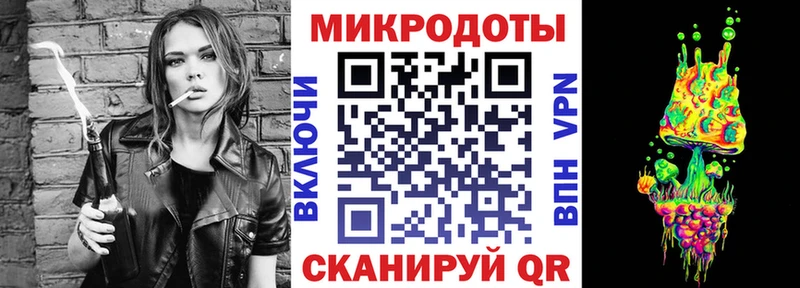 Псилоцибиновые грибы Psilocybe  Боровичи 